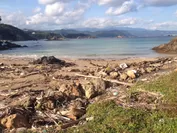 去年撮影された海岸のゴミ