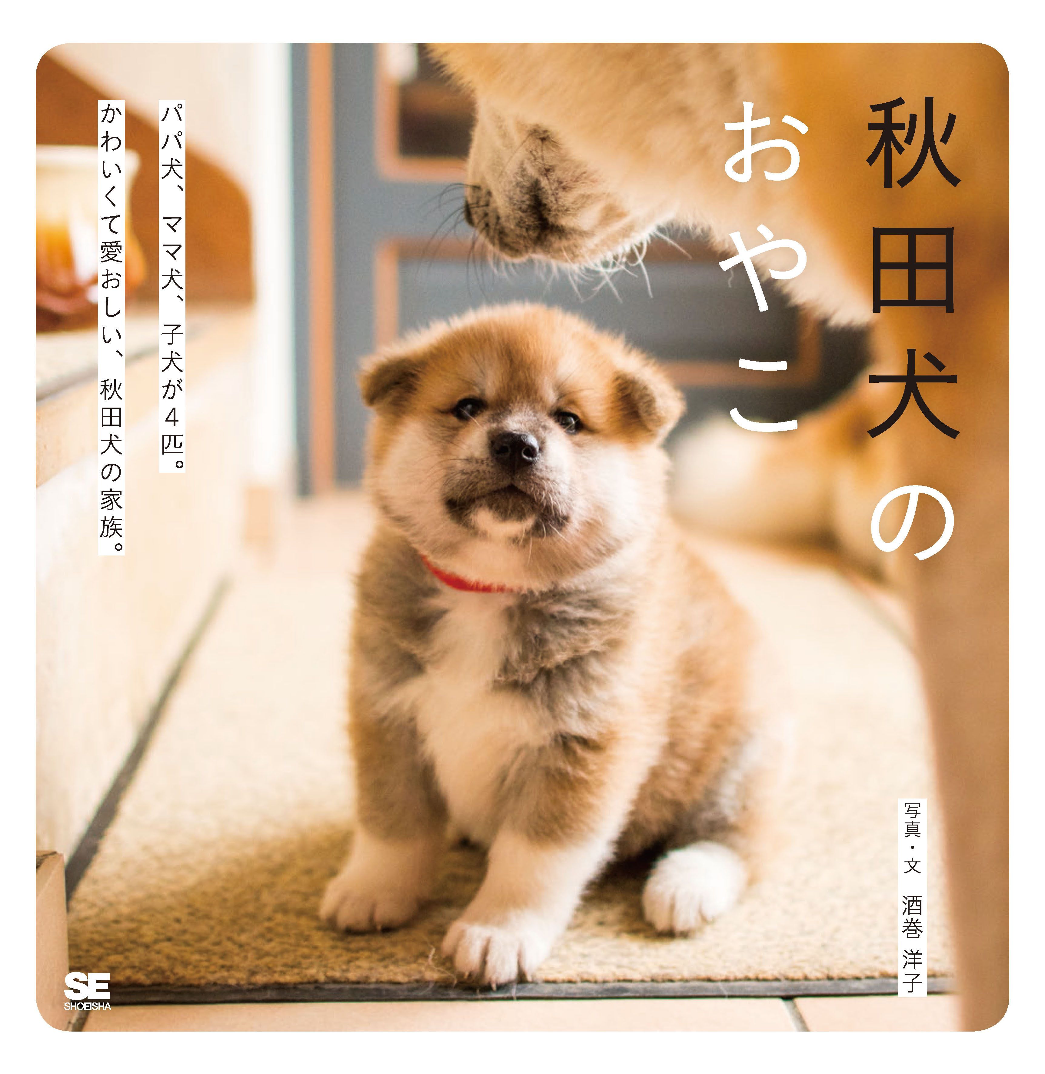 フランスで生まれた かわいい秋田犬の赤ちゃんの写真集 秋田犬のおやこ 株式会社翔泳社のプレスリリース