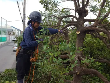 お庭のカットモデル１