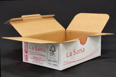 ラサーナ　通信販売用輸送箱(開封時)