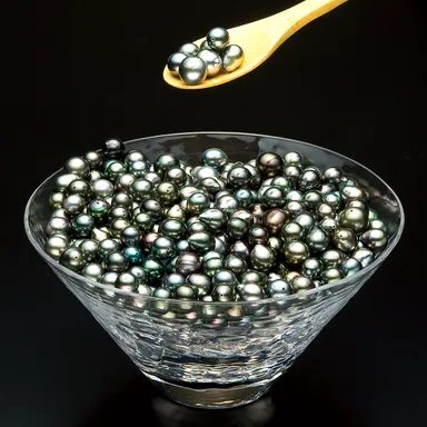 「黒蝶パールすくい取り」