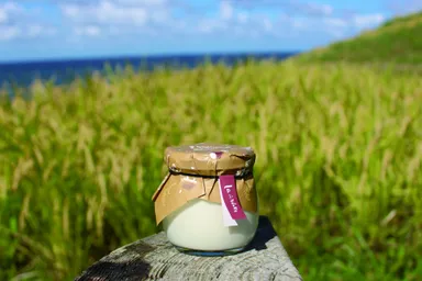 輪島プリン千枚田のお米 5