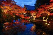 新選組ゆかりの京都・くろ谷　金戒光明寺、11月9日から秋の夜間拝観を開催