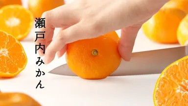 動画イメージ（みかん）