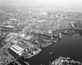 昭和40年代、造船所を中心としたものづくりのまちであった豊洲地区(写真提供：株式会社IHI)