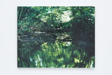 FAPA Book vol.5 Risaku Suzuki "Water Mirror"