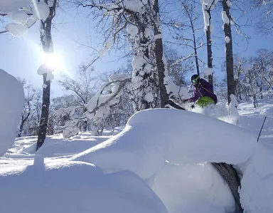【OMO7旭川】カムイスキーリンクス_イメージ