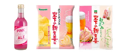 「岩下の新生姜×和style.cafe」取扱商品例