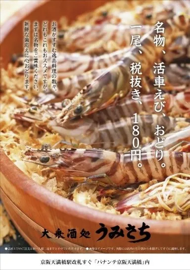 新鮮な歯ごたえに心おどる超新鮮な　”活車えび”