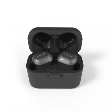 NT01B-BS(ケース収納時)