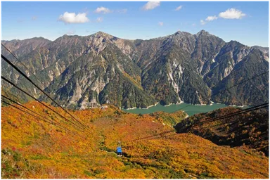 紅葉の、後立山連峰と黄金色のタンボ平《大観峰～黒部平》