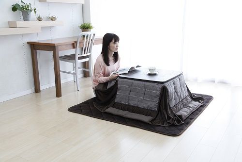 2018年冬のおひとりさま向け暖房器具新製品!「クッション・毛布付き