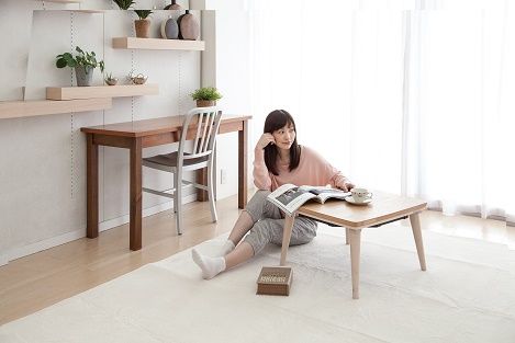 2018年冬のおひとりさま向け暖房器具新製品！「クッション・毛布付き 