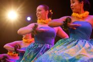極上のハワイアンコンサート「ホイケ ラナキラ2018」DVD先行予約受付を10月6日(土)より開始！