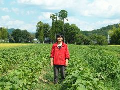 丹波篠山の黒豆生産者との特別コラボ企画「丹波篠山黒豆の枝豆解禁フェア＆即売会」開催！！