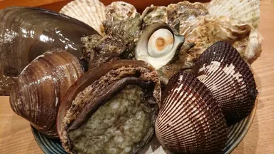 多種多様な貝たちが握り寿司に