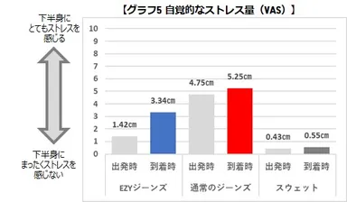 VASグラフ　ストレス量