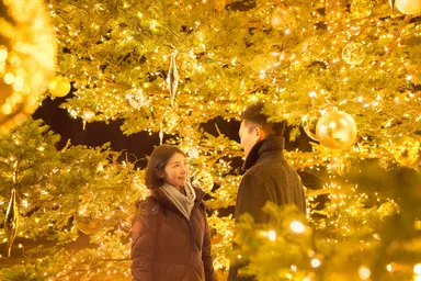 【星野エリア】シンボルツリー内側　2人