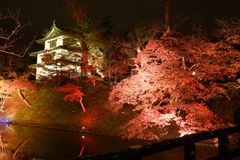 約2,600本の桜が赤く染まる紅葉をライトアップ！青森県弘前市『弘前城　菊と紅葉まつり』10/19～11/11開催