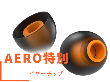 AEROイヤーチップ1