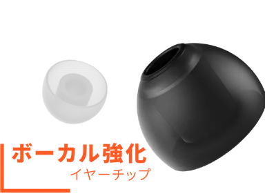 AEROイヤーチップ2