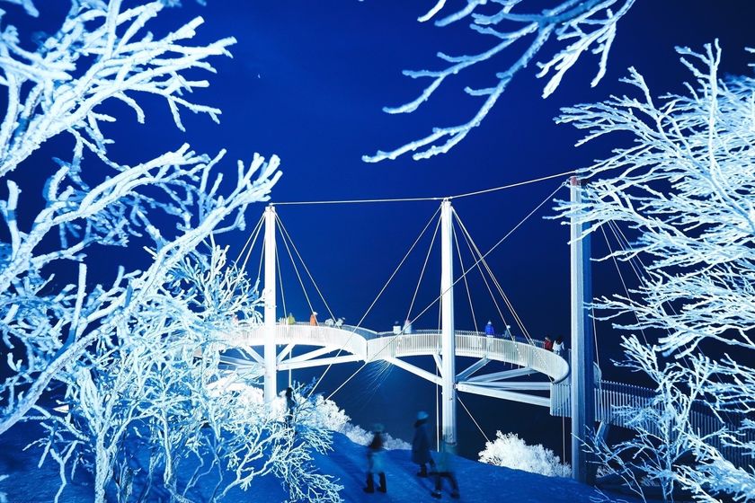 星野リゾート　トマム（北海道勇払郡占冠村）
360度、霧氷に囲まれた展望デッキ「Cloud Walk」での滞在
冬山の絶景を眺める「霧氷テラス」で霧氷のライトアップを実施
実施期間：2018年12月1日〜25日