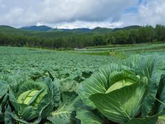ぐんまファン、インスタグラムで魅力発信！「FIND GUNMA フォトコンテスト」“食の魅力”入賞作品を発表　～次回は“絶景”をテーマに魅力を募集！10/20から～