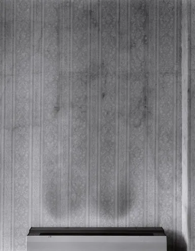 Courtesy the artist. (C) Yoneda Tomoko