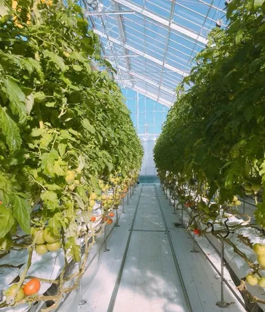 ハウスイメージ