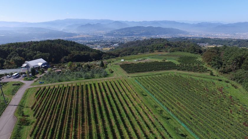 ワインの郷「東御市(とうみし)」をのんびりおいしく歩く
「ワインウォークinとうみ」11月3日(土)開催