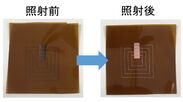 レーザー照射するだけで簡単に有機樹脂フィルムに銅配線が形成できる技術を開発