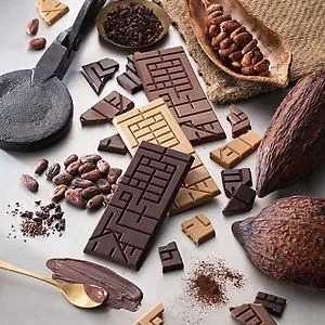 銀賞受賞したチョコ南部PREMIUM「Nanbu Tablet」のイメージ