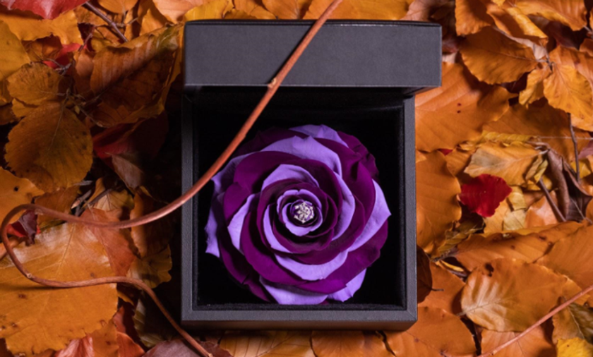 秋限定のEIKAオータムグラデーションローズ
2018年10月15日～2018年11月14日　数量限定発売