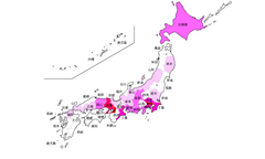 「天然もの」と呼ばれる一丁焼きのたい焼き店は増加し133店に！2018年 全国一丁焼きのたい焼き店に関する調査結果