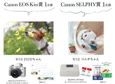 受賞作品と賞品