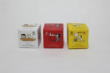 ムレスナティハウス