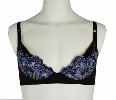 ブルートルソー背景白