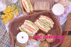 サクラグ、学生と社員の交流ランチ会「RUG LUNCH BOX」開催！