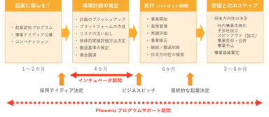 Phoenixi プログラム概要