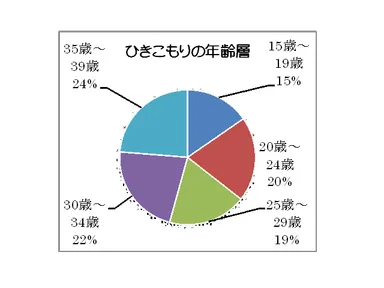 ひきこもりの年齢層
