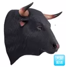 黒毛牛の頭部・壁掛け／Spanish Fighting Bull Head(2)