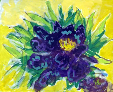 「洋蘭の女王 カトレア」