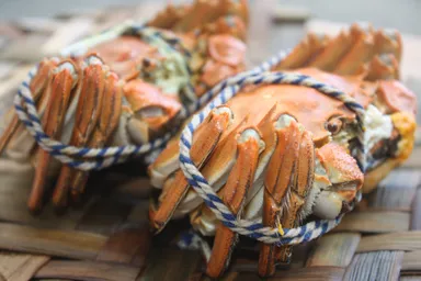 今が旬の上海蟹