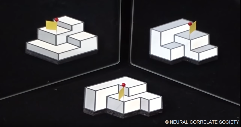 世界錯覚コンテストで優勝
明治大学先端数理科学インスティテュート（MIMS）
杉原厚吉特任教授の錯視研究作品が最優秀一位を獲得しました