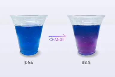 青春のマジックアワーティー