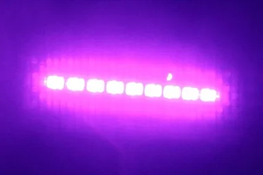 初開催！ブラックライトで宝探し