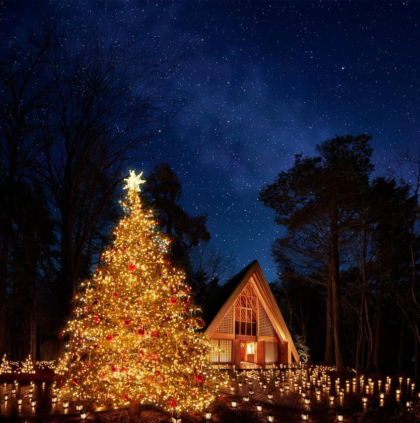 軽井沢高原教会（長野県・軽井沢町）
聖なる森のクリスマス
「クリスマスキャンドルナイト 2018」開催
開催日　2018年12月1日～25日