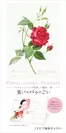 ルドゥーテ「バラ図譜」×鶴田一郎 “美しさはバラのごとく”