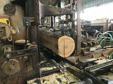 地域資源の活用で森を守る