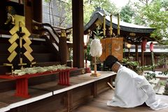 晴明神社「己亥歳注連飾り」の授与を開始　「魔除け」「厄除け」の晴明神社でご祈祷される特別な“注連飾り”　11月1日から受付